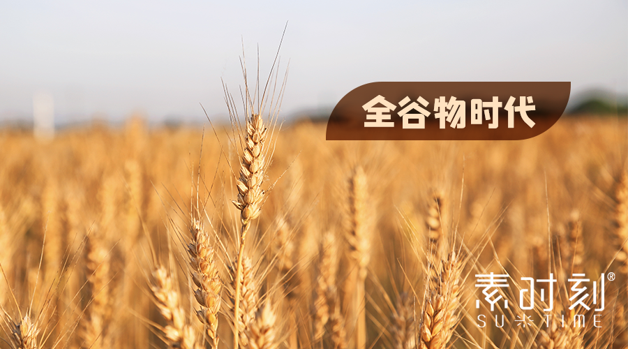 素時刻丨全谷物時代下的健康飲食