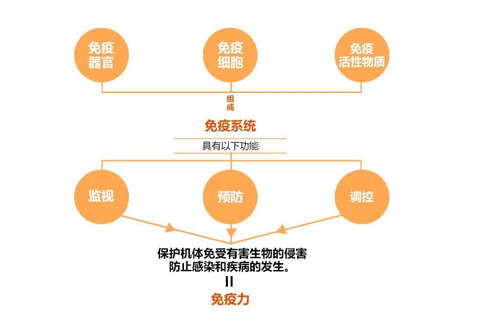 1684475249914843.jpg 640 (6).jpg