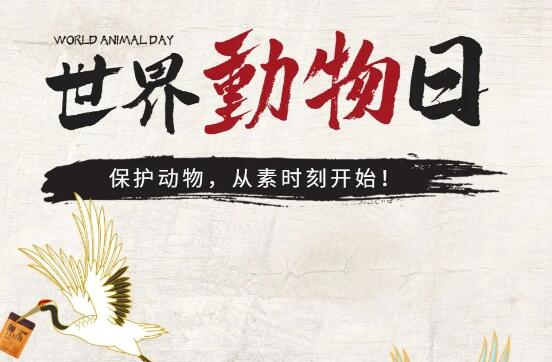 素時刻丨保護(hù)動物，從素食開始