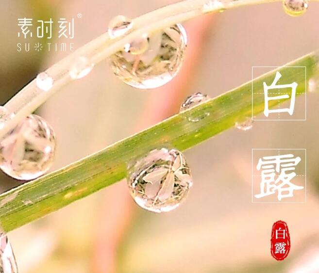 二十四節(jié)氣丨白露養(yǎng)生，養(yǎng)氣潤燥勿露身