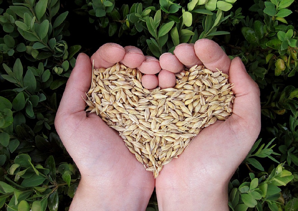 素時刻：植物營養(yǎng)與人類健康