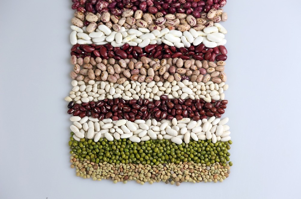 素時(shí)刻五谷膳食粉——食物是最好的藥物