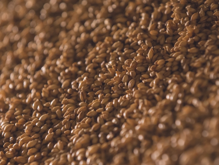 199種食材搭配，營養(yǎng)滿滿的五谷膳食粥，好吃的不得了!