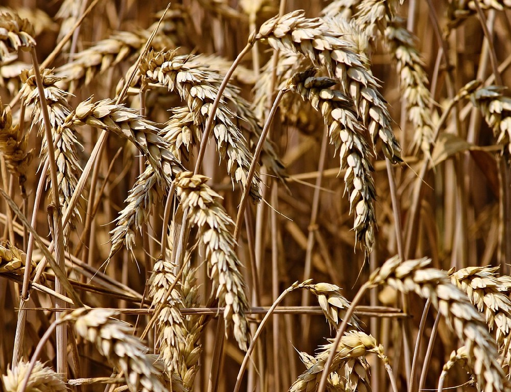 素時(shí)刻：體重管理上限法