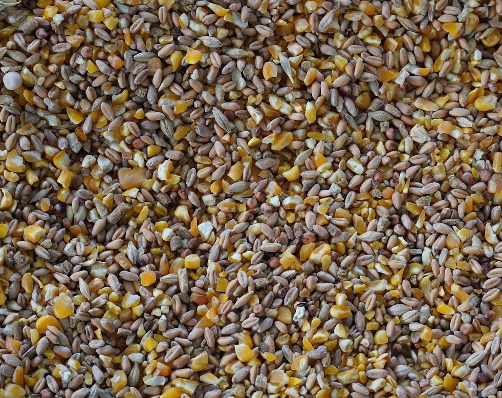 素時(shí)刻五谷膳食粉，健康是一生的財(cái)富