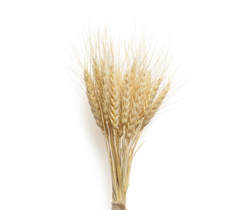 一碗五谷膳食粉，只將食粥致神仙