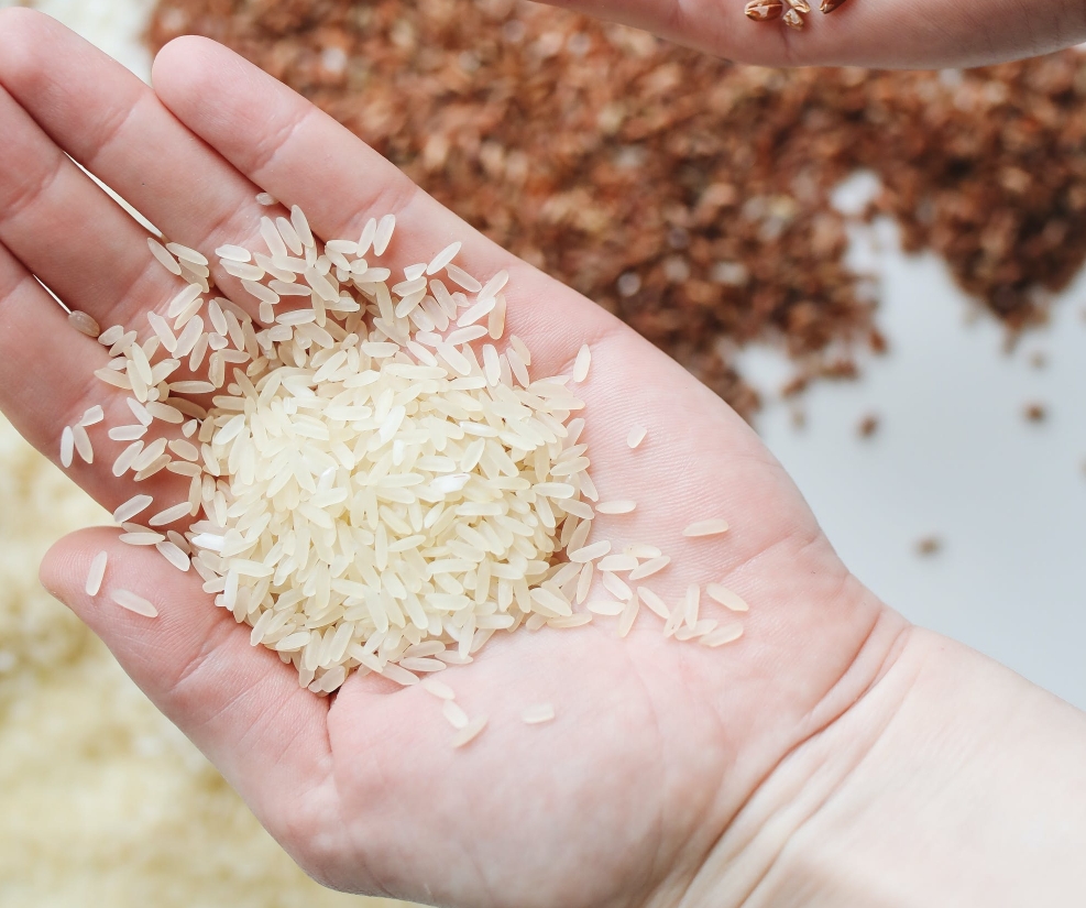 揭秘平凡中的卓越：深入了解素時(shí)刻五谷膳食粉