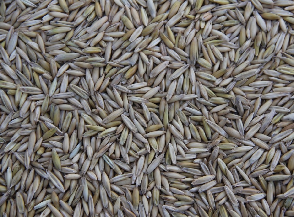 解讀素時(shí)刻五谷膳食粉的搭配秘方