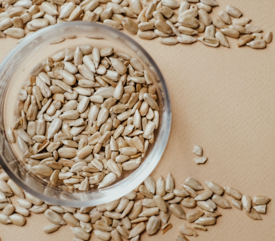 素時(shí)刻五谷膳食粉：五谷雜糧是養(yǎng)生的根本