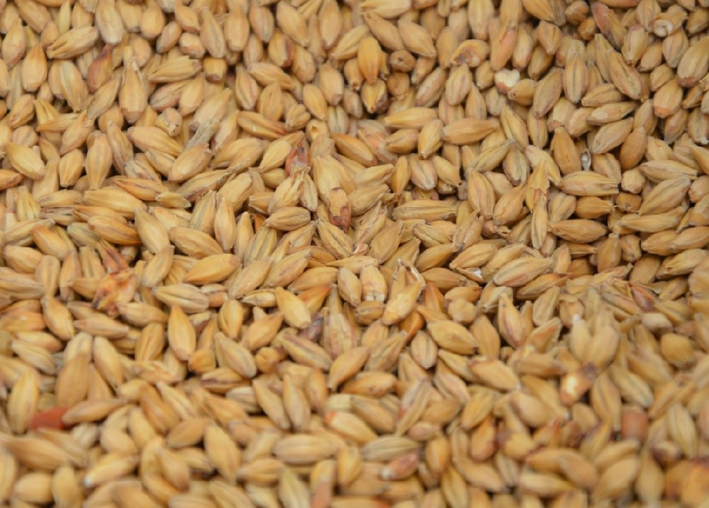 素時(shí)刻：199種植物食材，讓生活更健康