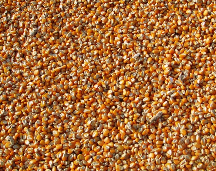 素時刻五谷膳食粉：五谷養(yǎng)生養(yǎng)五臟，“一谷補一臟”