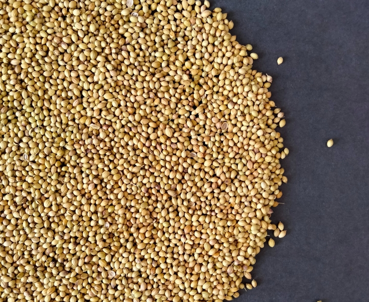 素時(shí)刻：精米精面是生活中隱藏的“殺手”？