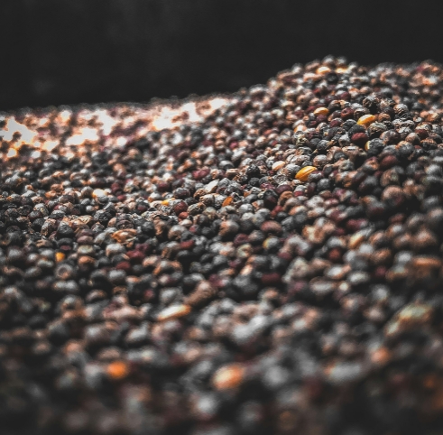 素時(shí)刻：健康的四大基石