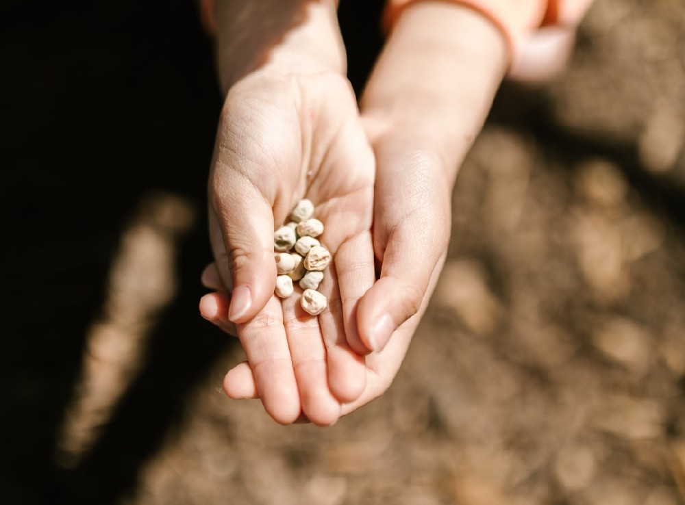 氣溫驟降腸胃“罷工”？一招安撫腸胃小情緒