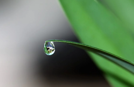 素時刻五谷膳食粉:：取自然之物，養(yǎng)自然之身