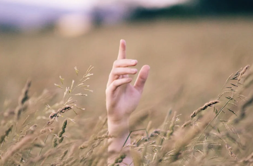 素時刻：以食為養(yǎng)，藏好五臟精華