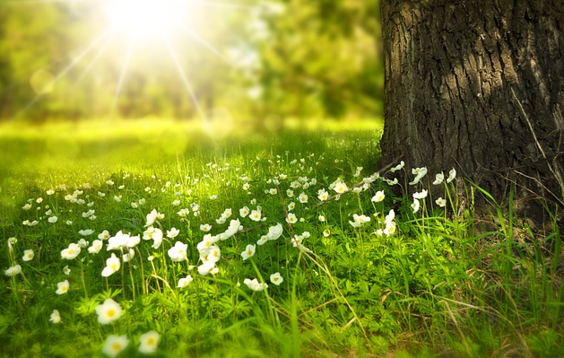 素時(shí)刻：好氣色，喝出來(lái)，開啟夏季健康養(yǎng)生